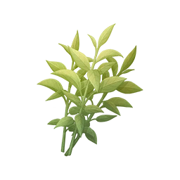 verdant leaves